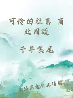 可怜的社畜 商业周颂