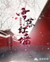 雪落红墙