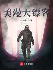 洪非(叶知非)美漫大镖客txt