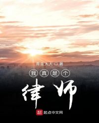 我真是个律师