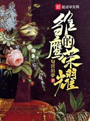 艾格隆雏鹰的荣耀(匂宮出夢)小说